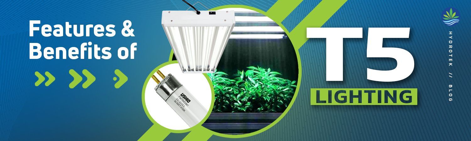 Features & Benefits of T5 Lighting banner