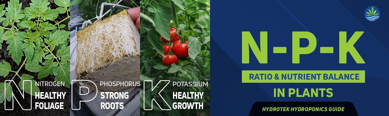NPK Ratio Banner