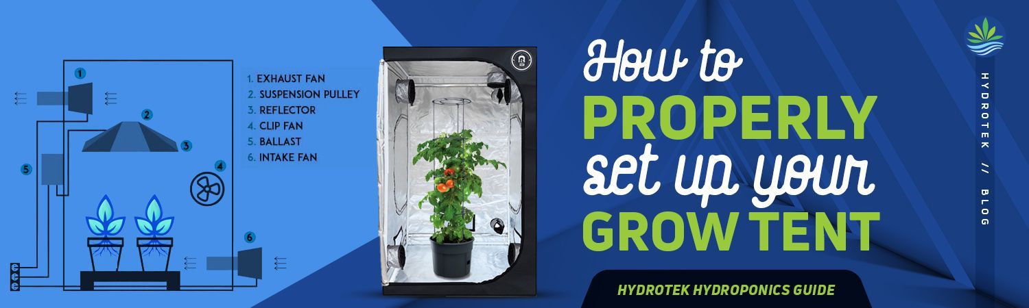 Indoor Grow Tent & Grow Room Setup Tips banner