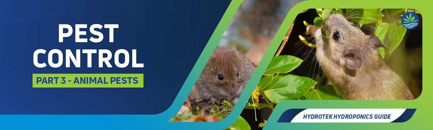 Control of Animal Pests