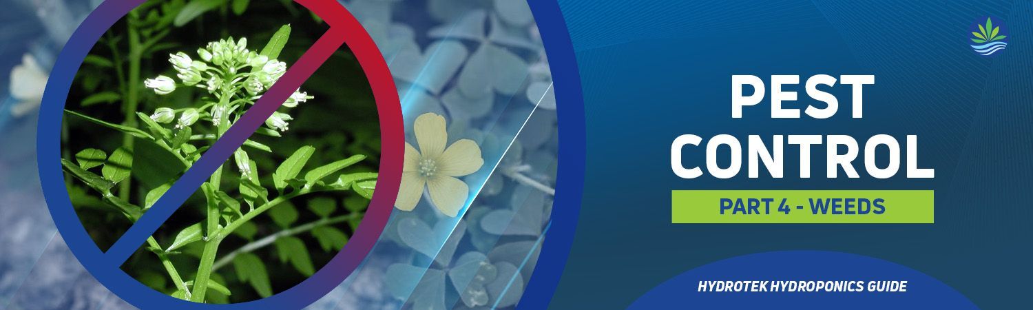 Part IV: Control of Weeds