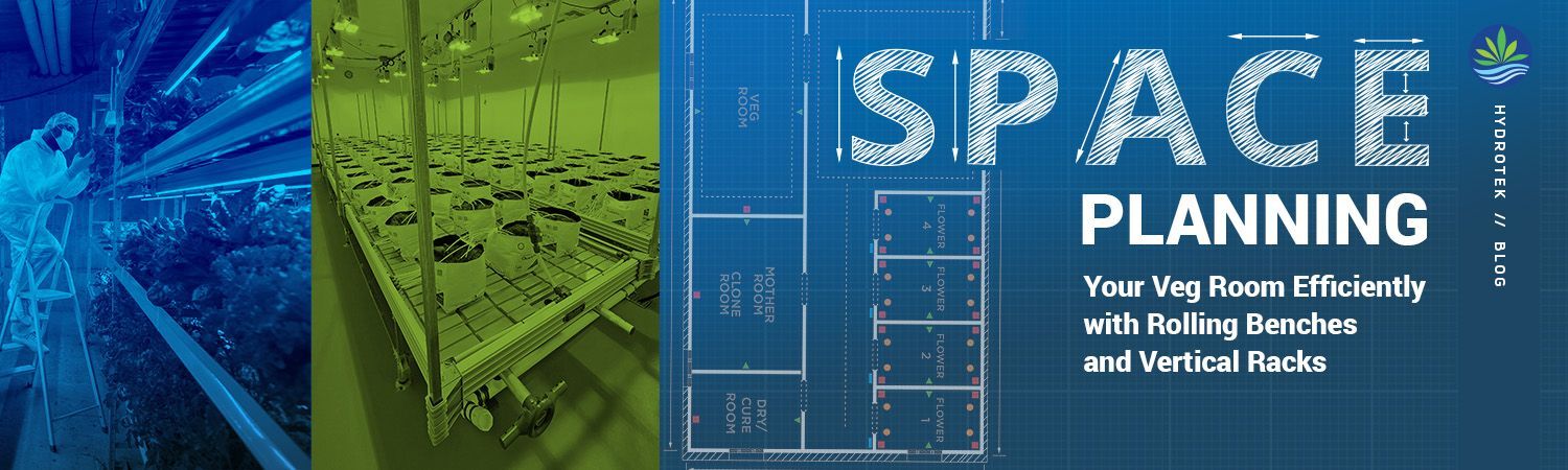 Space Planning Your Veg Room