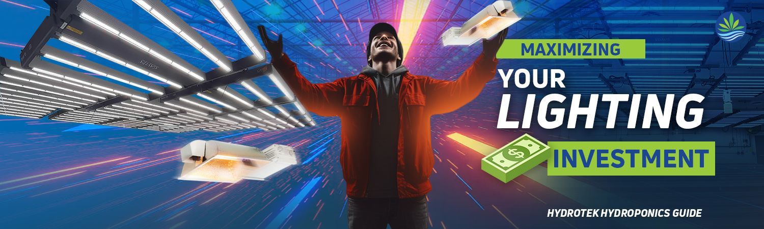 Maximizing Your Lighting Investment Banner