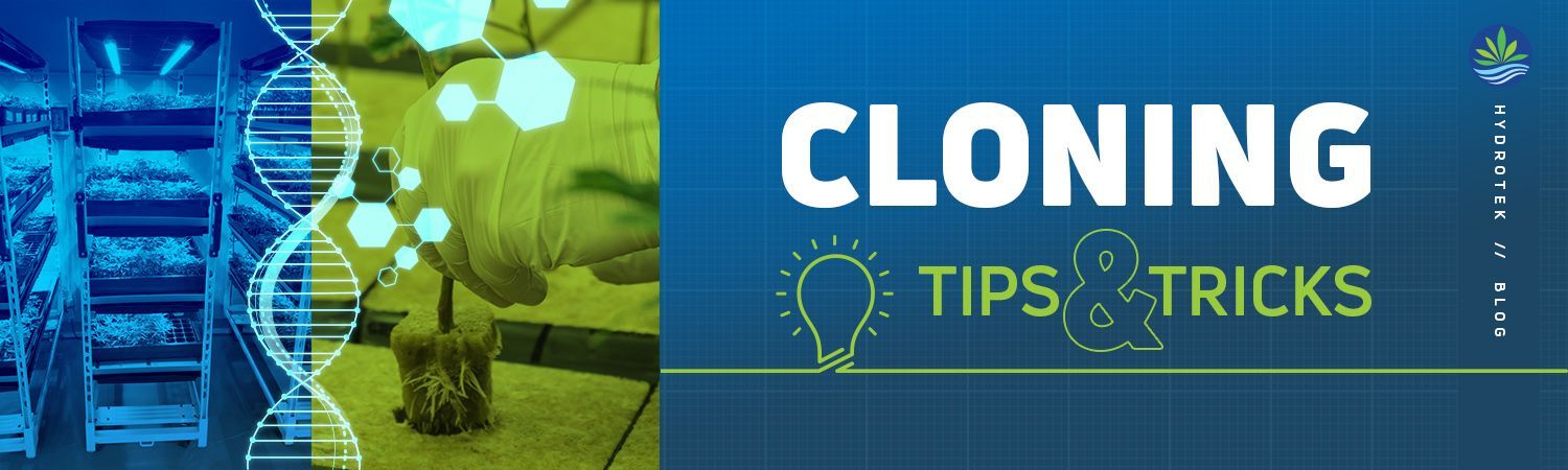Tips and Tricks of Cloning banner